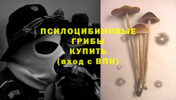 МДМА Няндома