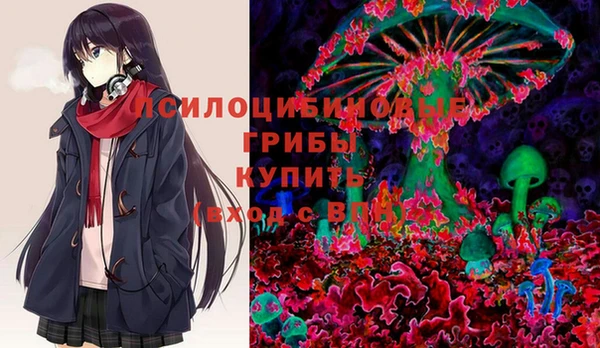 гашик Нязепетровск