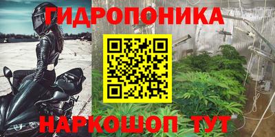 гашик Бийск