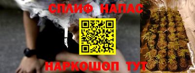 гашик Бийск