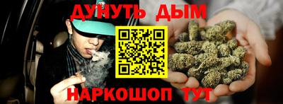 гашик Бийск