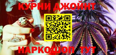 гашик Бийск