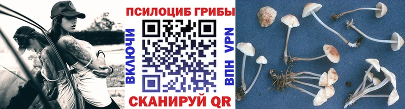 Галлюциногенные грибы мухоморы  Ржев 