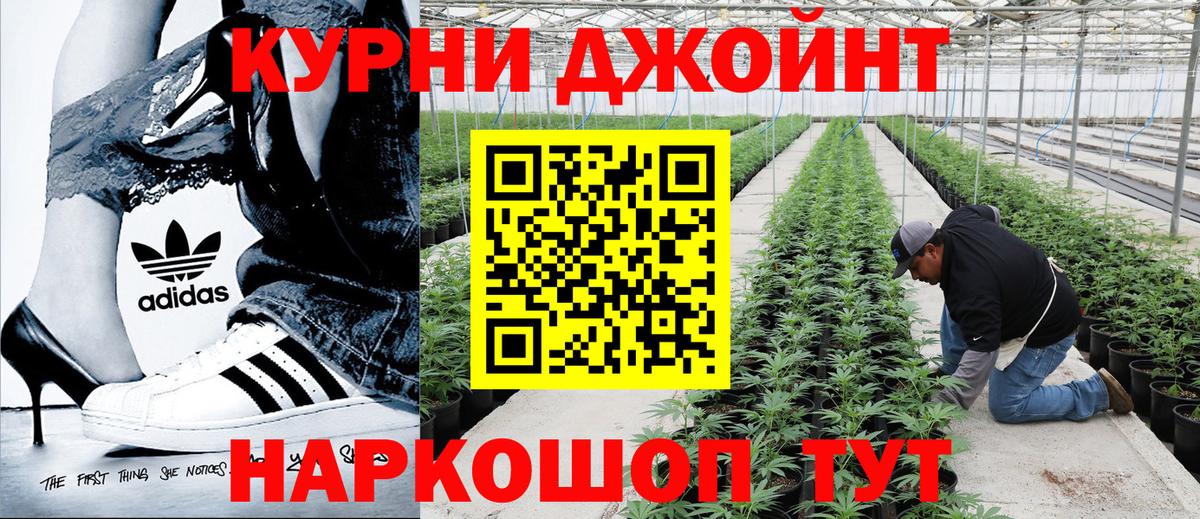 Марихуана LSD WEED  Каннабис LSD WEED  Бошки Шишки конопля  Ржев  Вход с VPN 